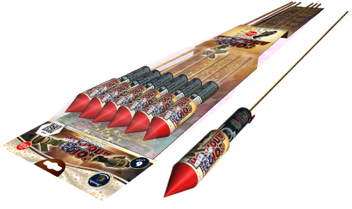  Ракеты Союз-Аполлон  в Боровичах